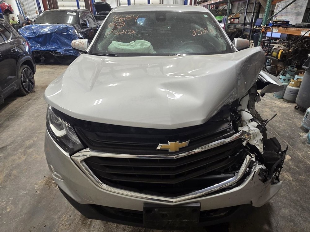 EQUINOX 2020 Jack 1556348