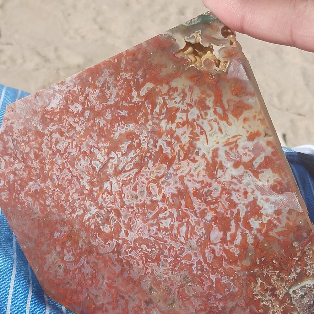 BIG Moss Agate Slab Ready For Lapidary