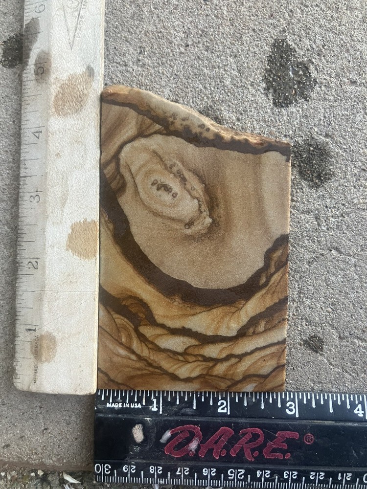 Lansdscape Sandstone Slab