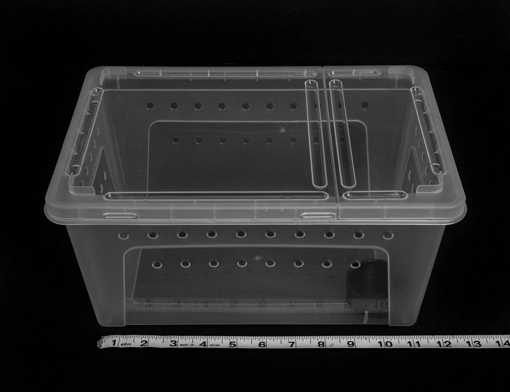 2 PACK Large Clear Stackable Invertebrate & Reptile Keeper Box