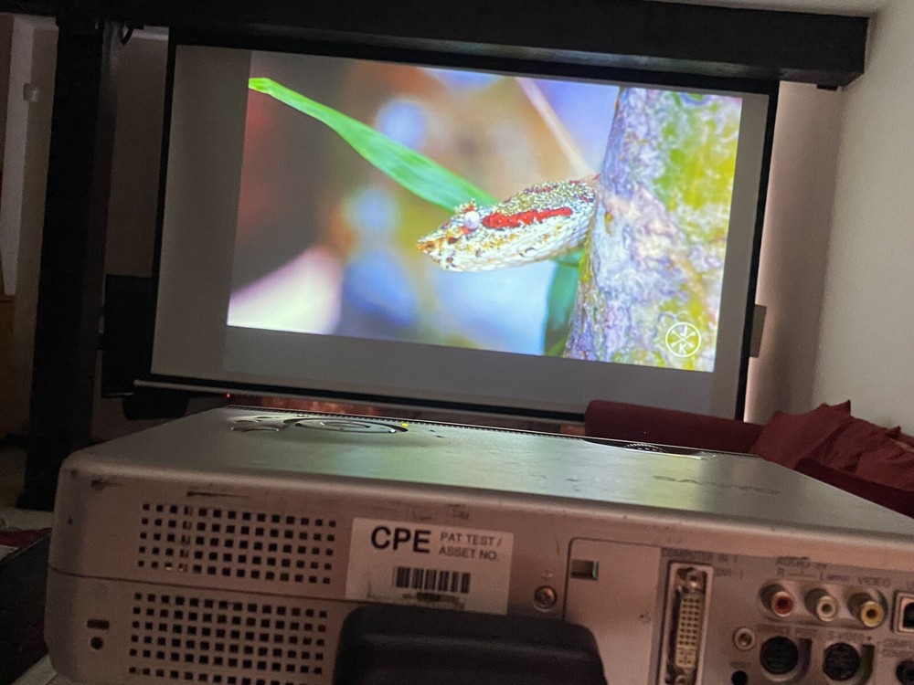 Sanyo PLC-XE20 LCD Projector With Remote