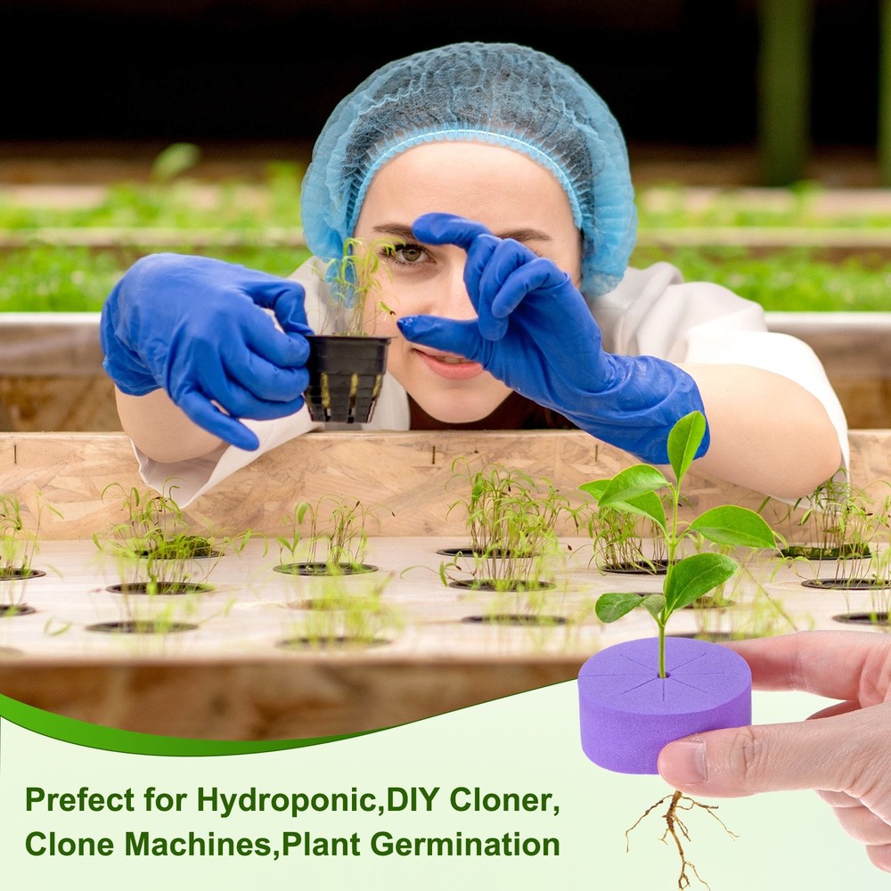 60-Pack Cloning Collars Inserts, Hydroponics Sponge Systems Cloning [Purple]