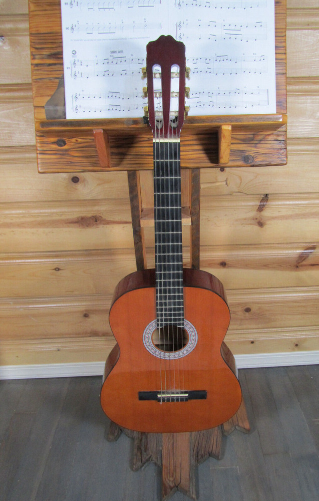 Eleca Acoustic 6 String Guitar Model C0-10