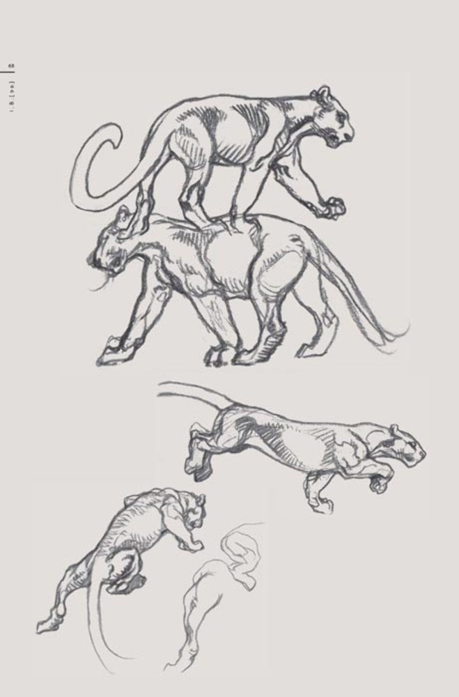 Claire Wendling - Iguana Bay 2.0