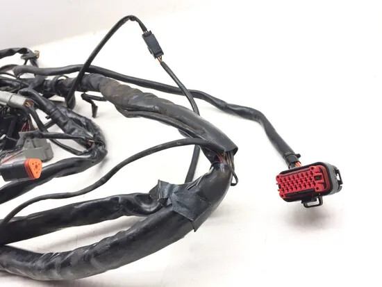 Main Engine Wiring Harness 2004 Harley-Davidson Electra Glide EFI FLHTI 3199
