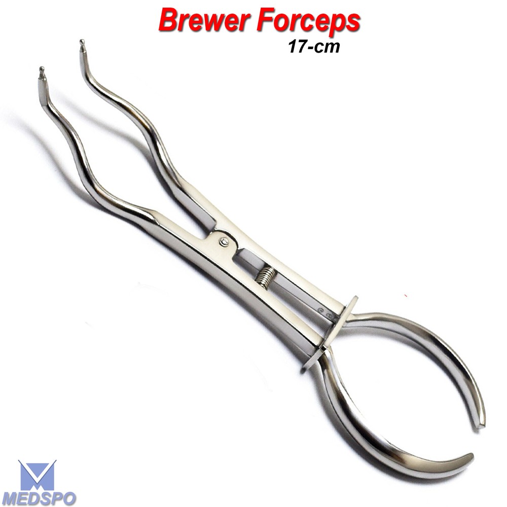 Dental Rubber Dam Brewer Type Clamp Forceps Palmer Endodontic Instruments