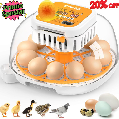 12 Egg Incubator with Automatic Egg Turning and Humidity Control