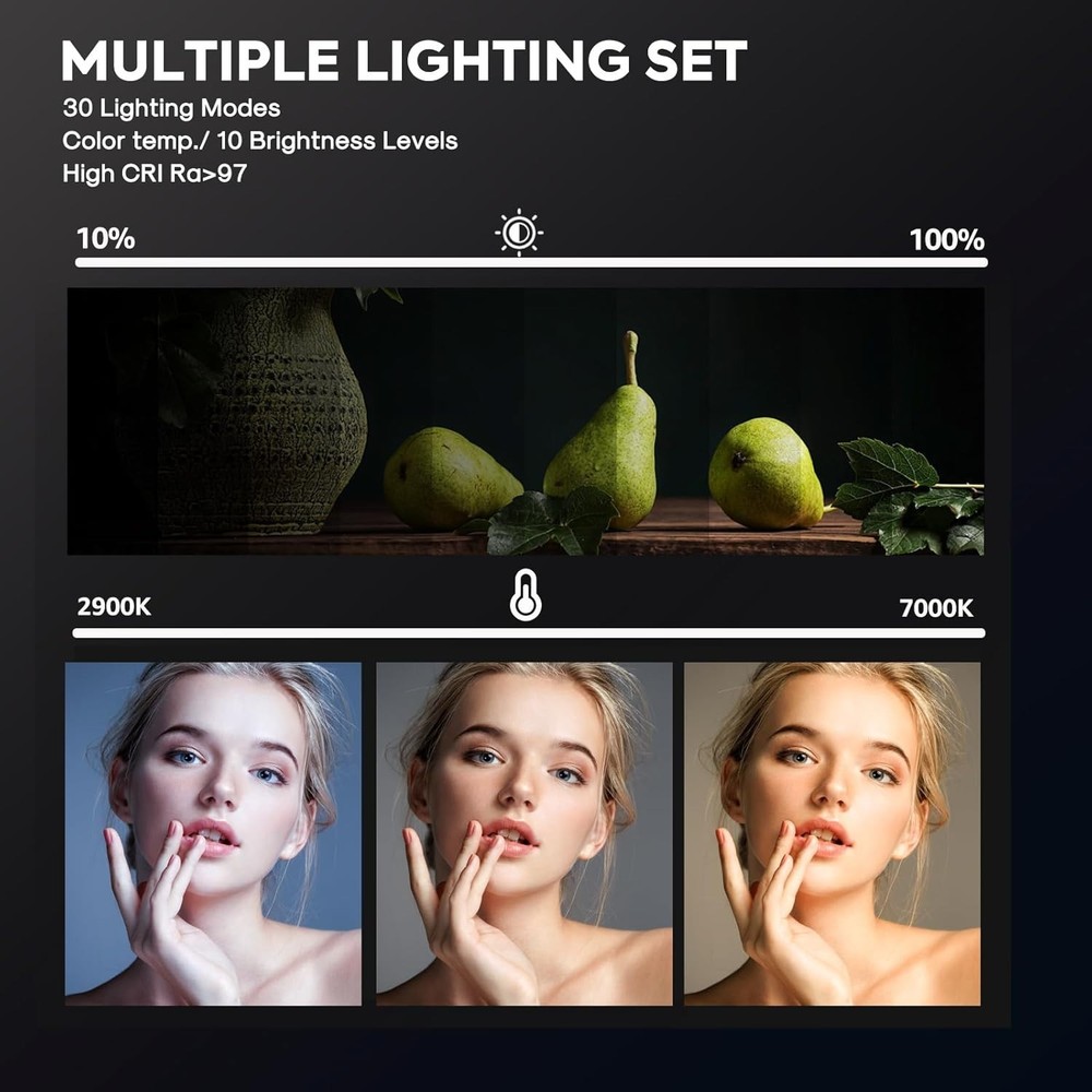 Professional 2-Pack LED Video Light Kit with Adjustable Tripod for Creators
