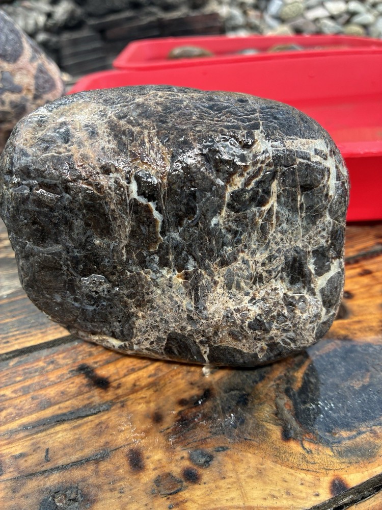 Rocks For Sale Gabbro