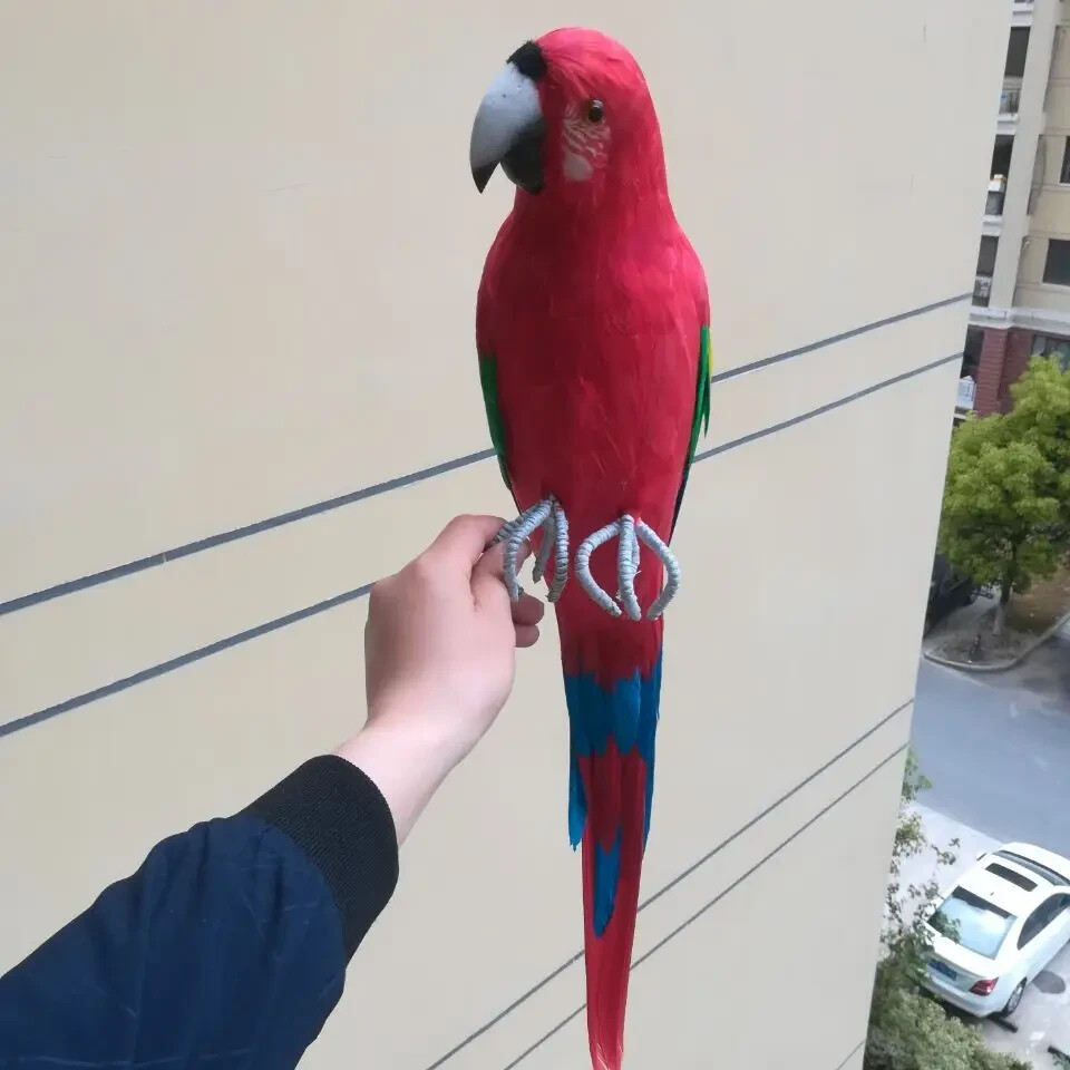 big simulation foam&feather red&blue parrot model bird gift about 60cm