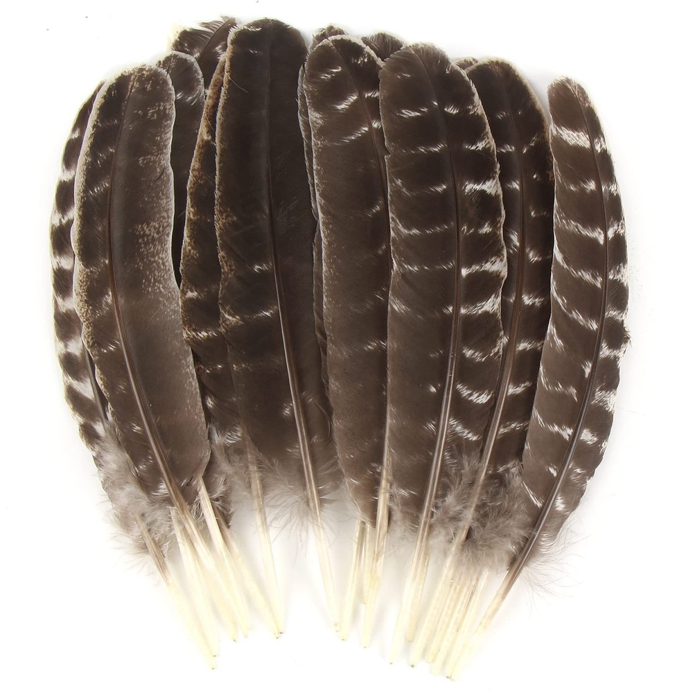 CCINEE 15pcs Natural Turkey Feather, 10-11 Feathers
