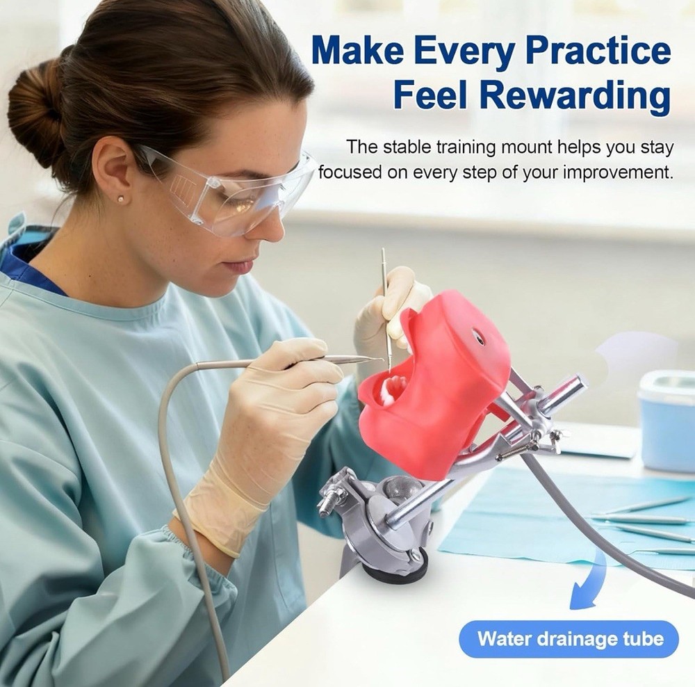 Dental Typodont Training Model Mount Kit