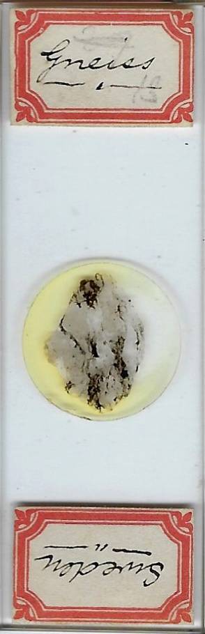 Gneiss from Sweden Petrographic Microscope Slide