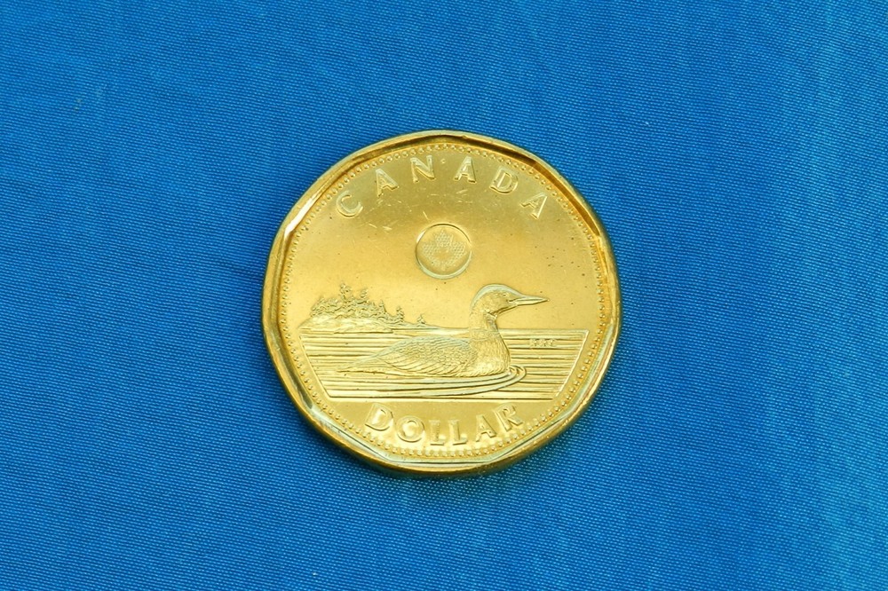 2013 Canada $1 Coin *Proof Like* *UNC*