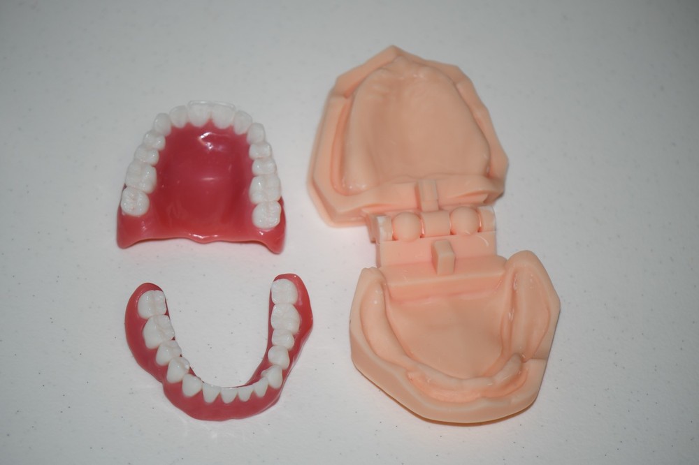Full Denture Models , with Articulator, For Decoration and Education