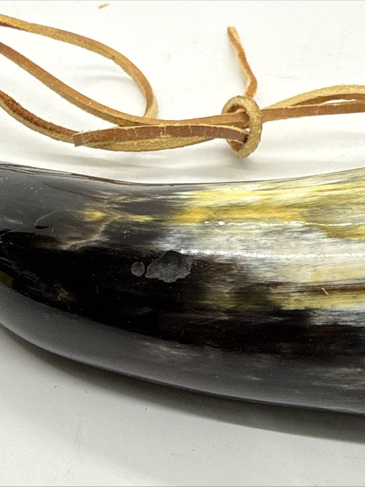 Powder Horn, 6”