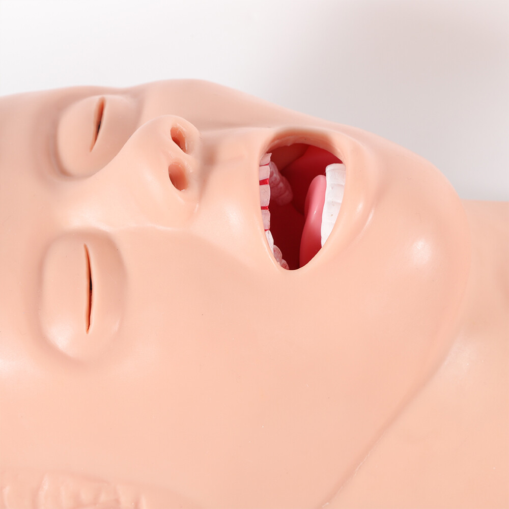 Intubation Manikin Study Teaching Simulator Airway Management Trainer Model
