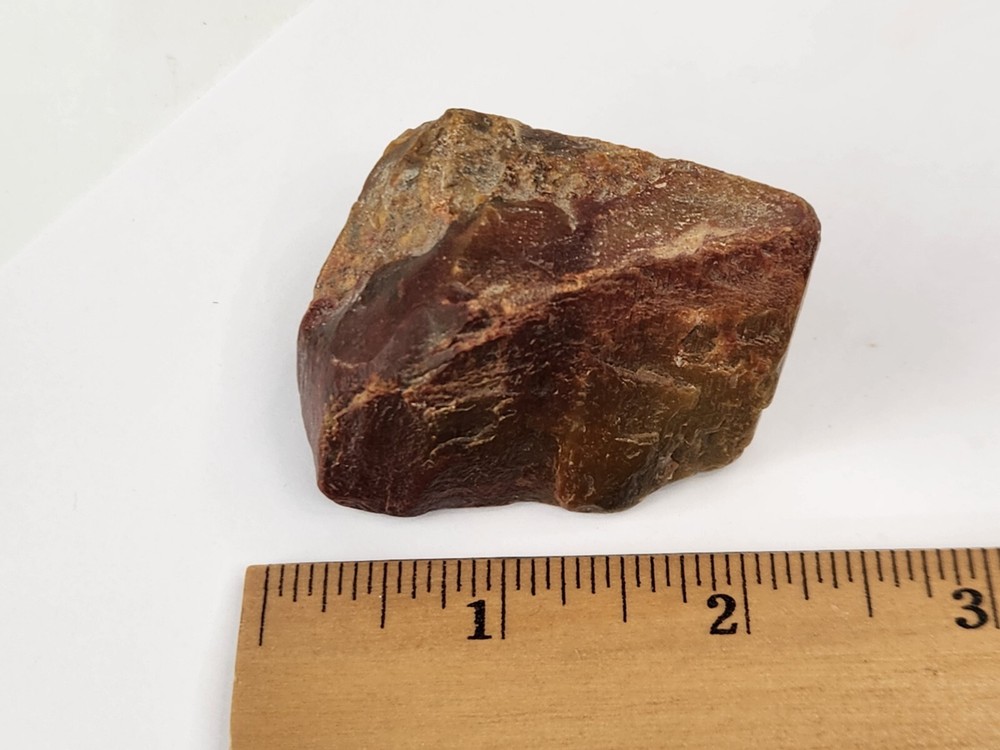 Petrified Wood - Eocene - Jackson Group (?) - Grimes Co., TX