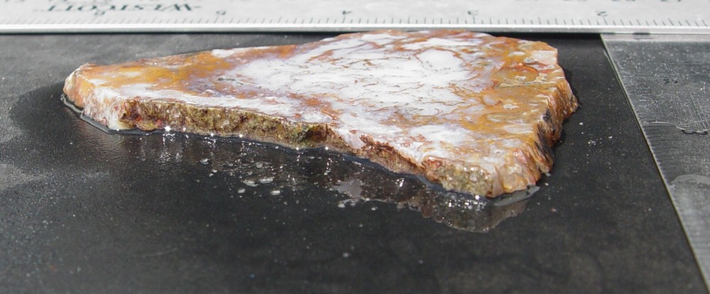 Gold Moss Agate Lapidary Slab 1487