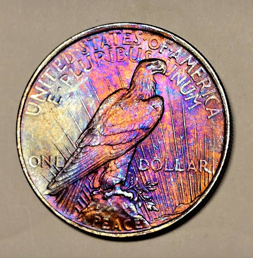 1922 P Peace Silver Dollar TRUE MULTI RAINBOW TONED FROM HOLDER AUTHENTIC GEM