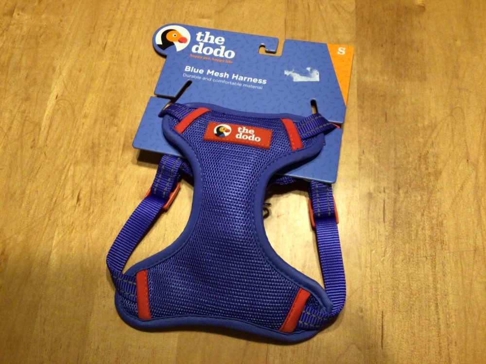the dodo Blue Mesh Harness for a small pup
