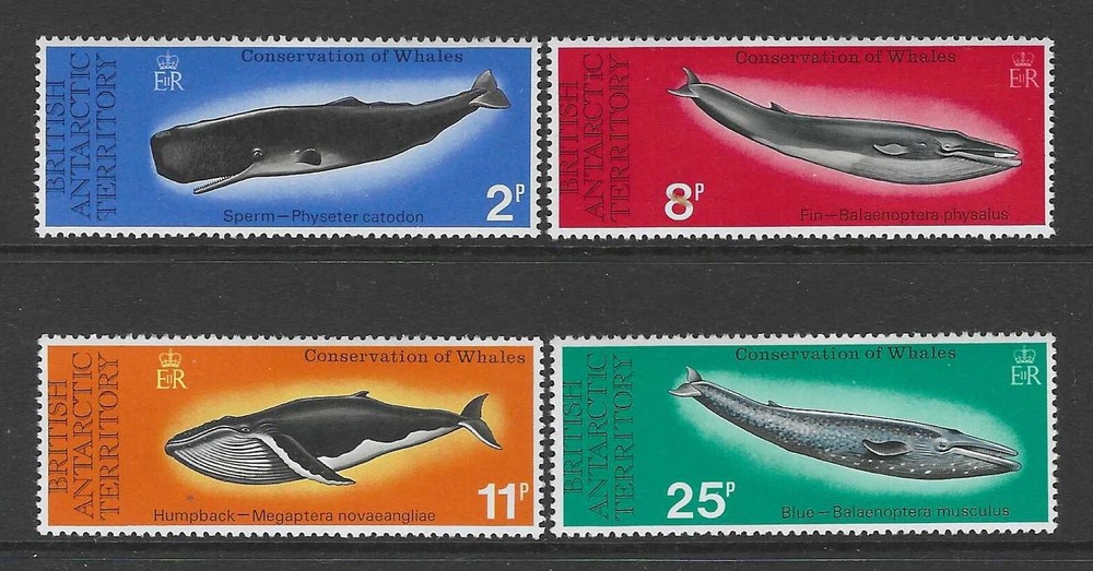 BRITISH ANTARCTIC TERRITORY: 1977 Whales set, MNH