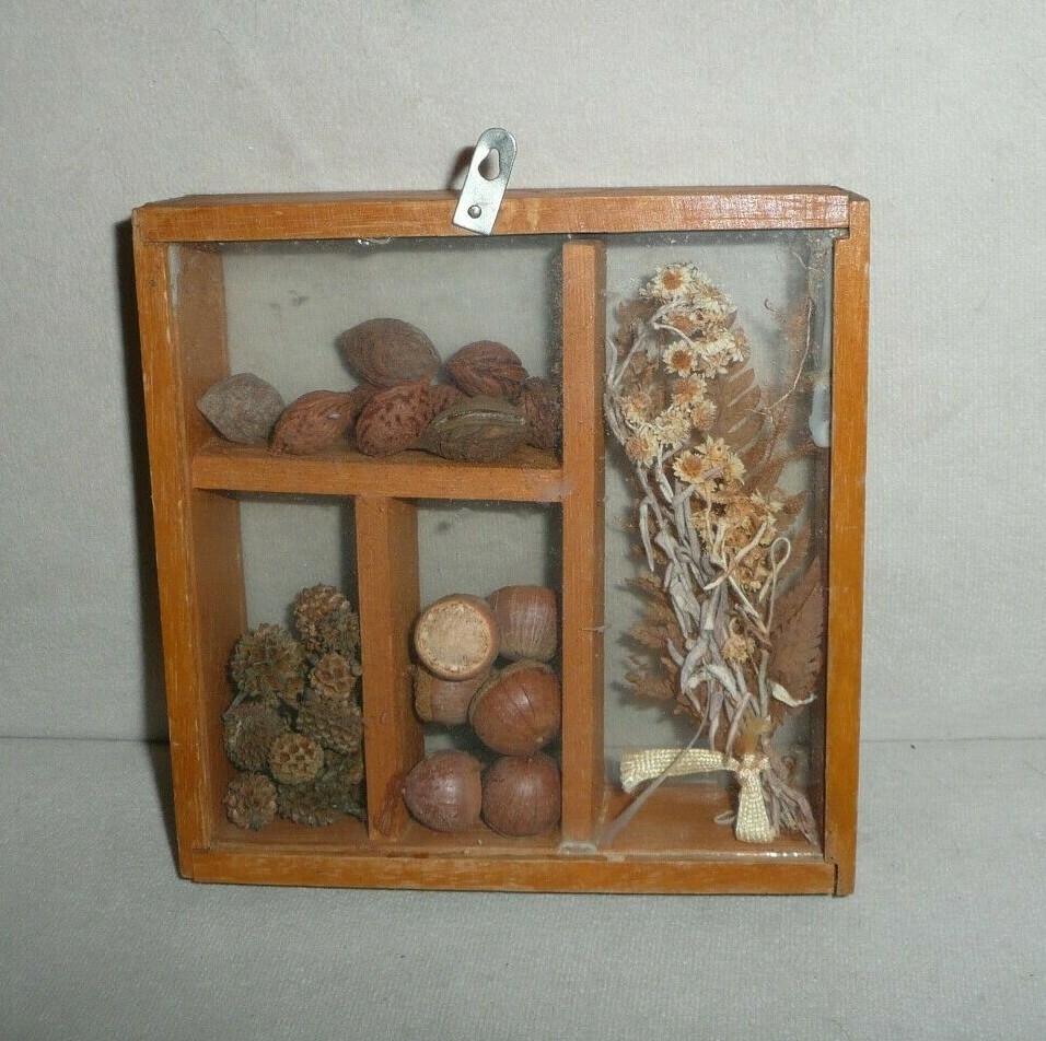 Vintage Seed Shadowbox Wall Hanging Home Décor 5.5" x 5.5"