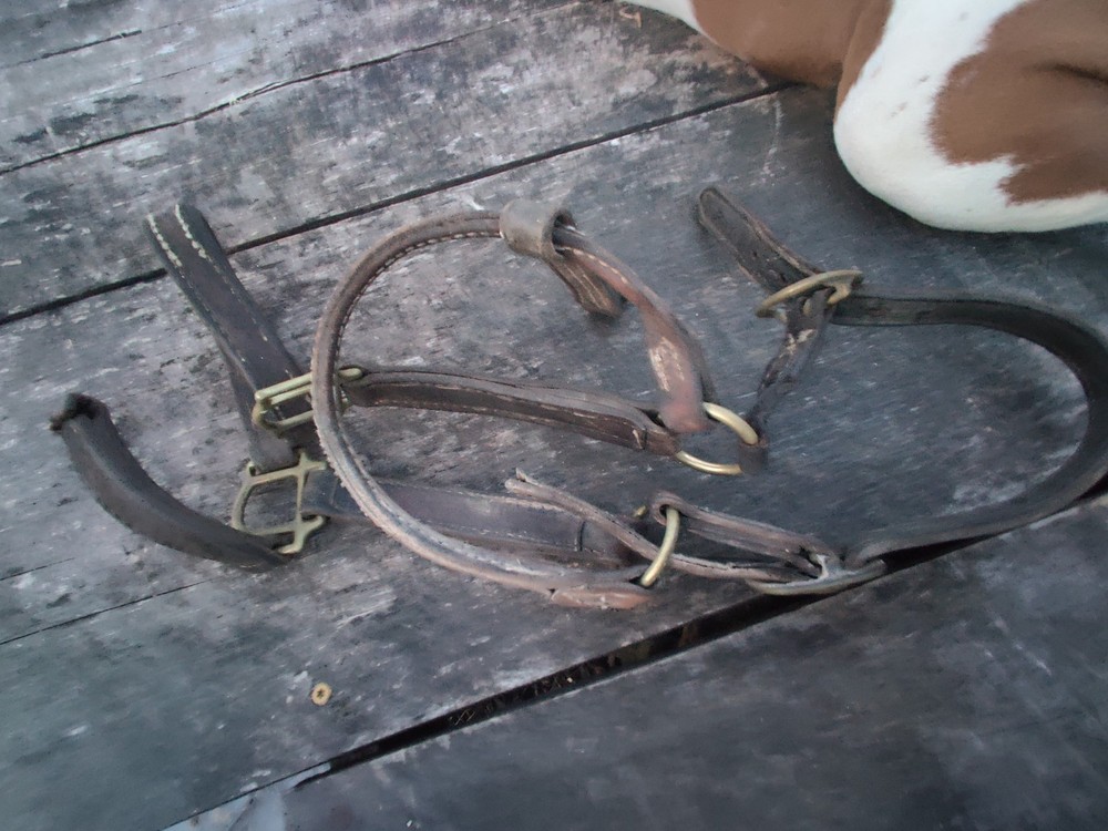 Horse Halter, Vintage Damaged