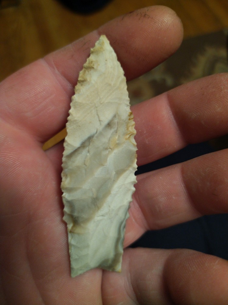 Dalton Ozark Chert fine serations 3 3/16" x 1"