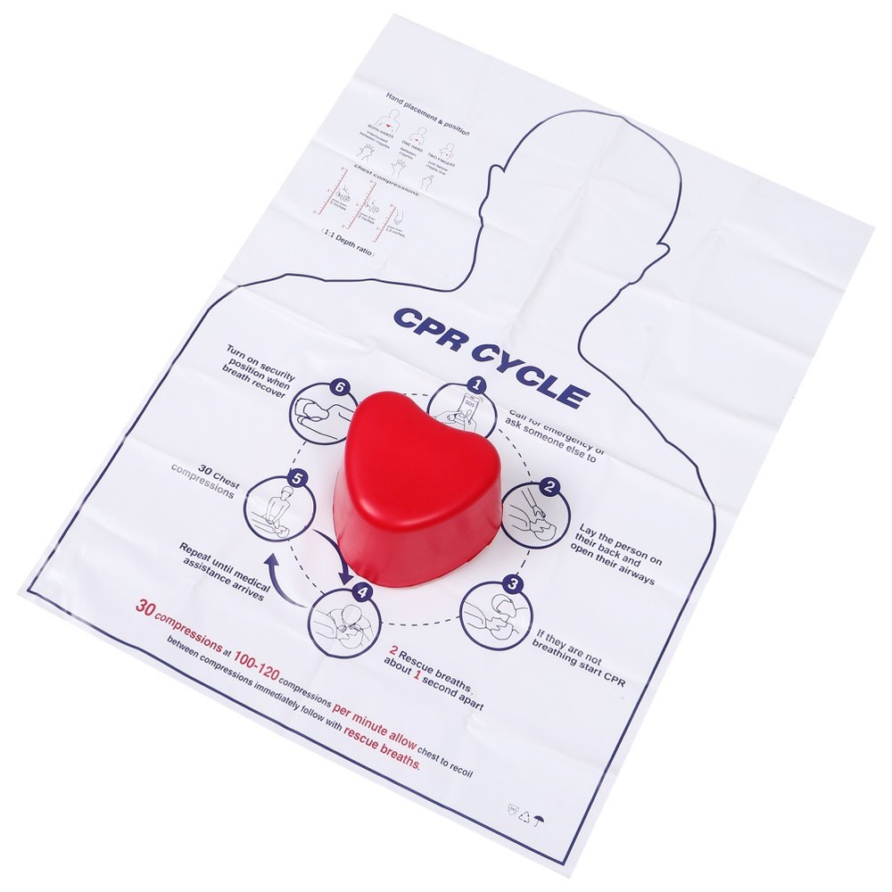 Cardiac Training Model Cpr Practice Tool for Beginners Feedback Device