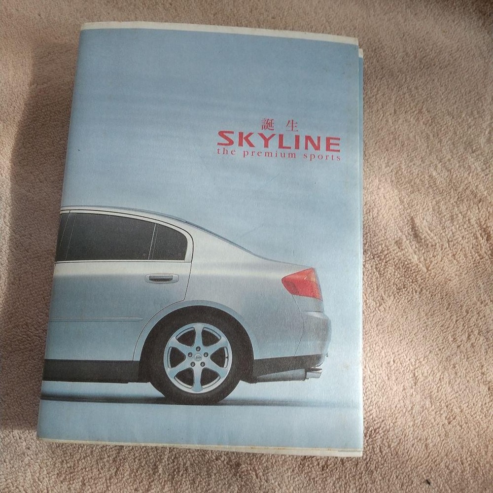 ④⑦Skyline paperback cover