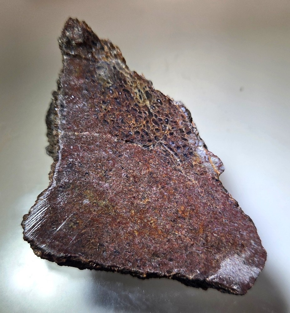 Agatized Gem Dinosaur Bone Slab      108.6  grams   SDB004