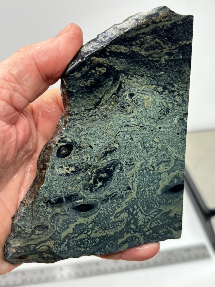 Kambaba Jasper Stromatolite Slab Lapidary Cabbing Combo Ship Avail