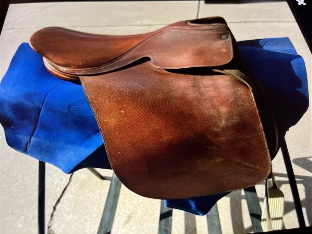 Cutback English Saddle Made By Lane Fox W/ Saddle Stand.