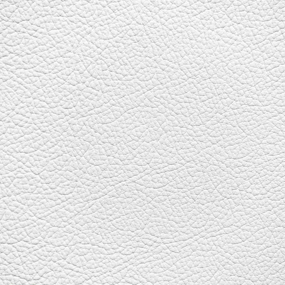 Ford/Lincoln/Mercury White Leather Dye