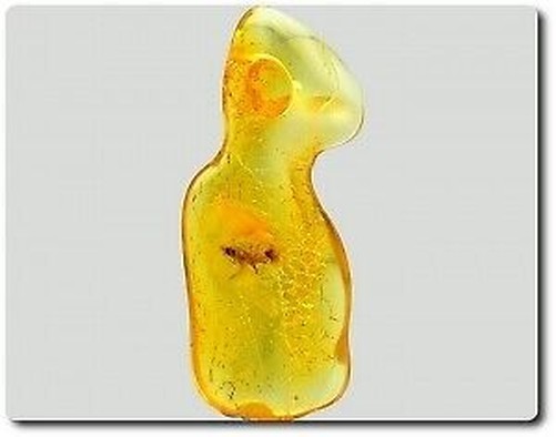 0.37 Grams Amber With Insect Lithuania