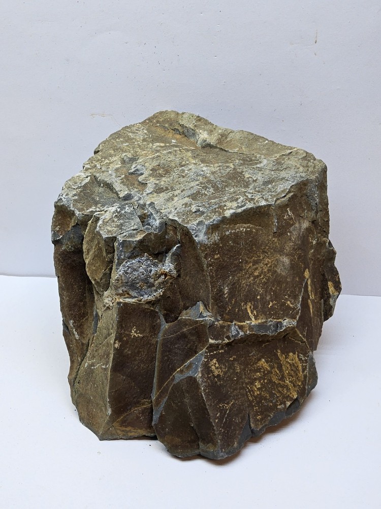 🪷 stunning slate Stone suitable for micro landscape,terrarium design