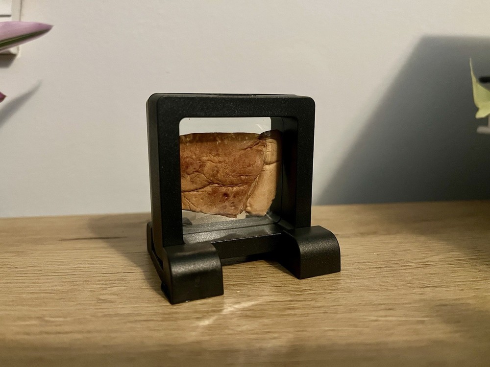 Original Underworld Flesh Piece Prop