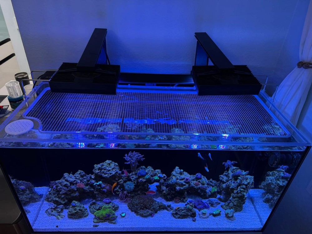 Custom Solid Polycarbonate Clear Aquarium Lid (MADE TO ORDER)