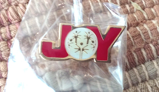Special Olympics JOY pin badge