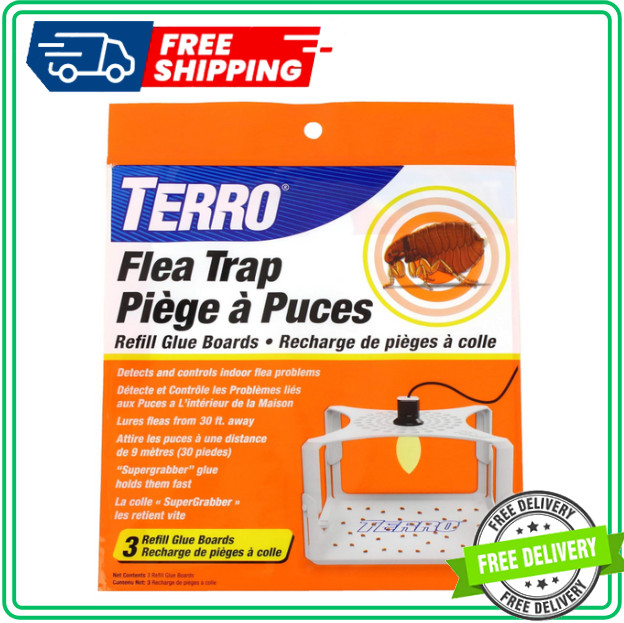 TERRO T231 Flea Trap Refills - Replacement Flea Trap Glue Boards,White, 3 Count