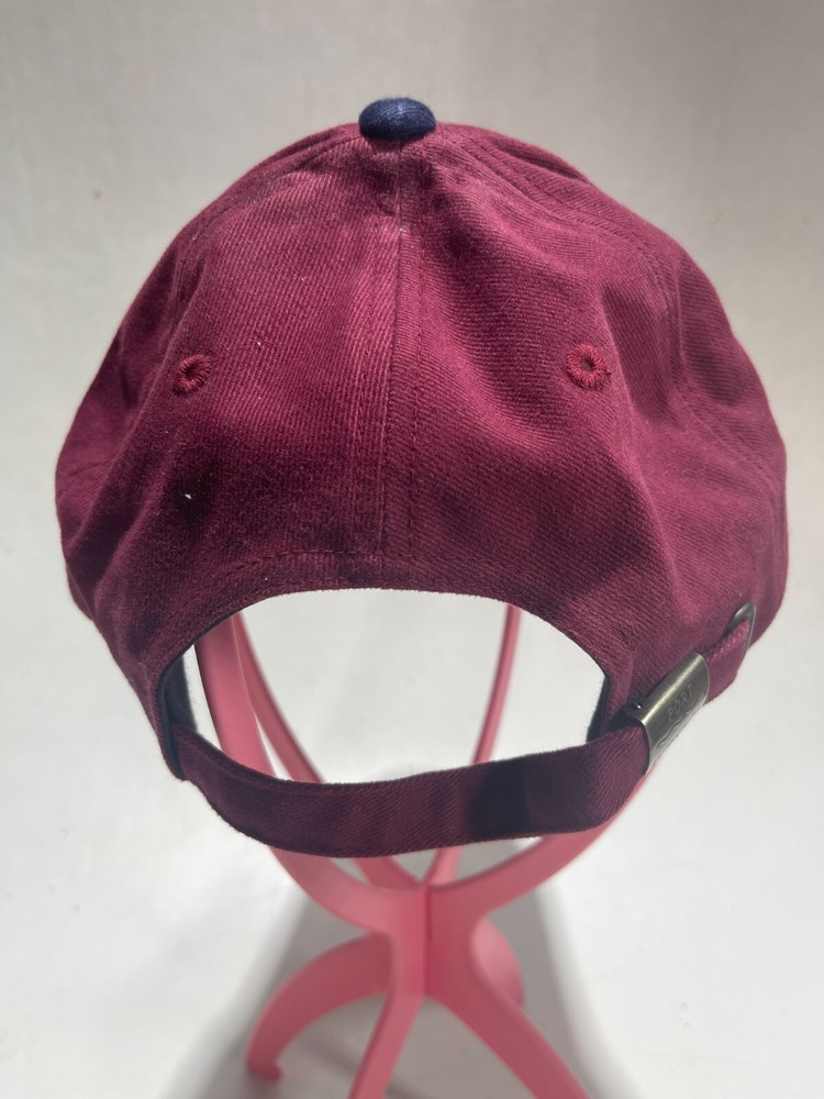 Dish Network Entertainment Environments Cap Hat