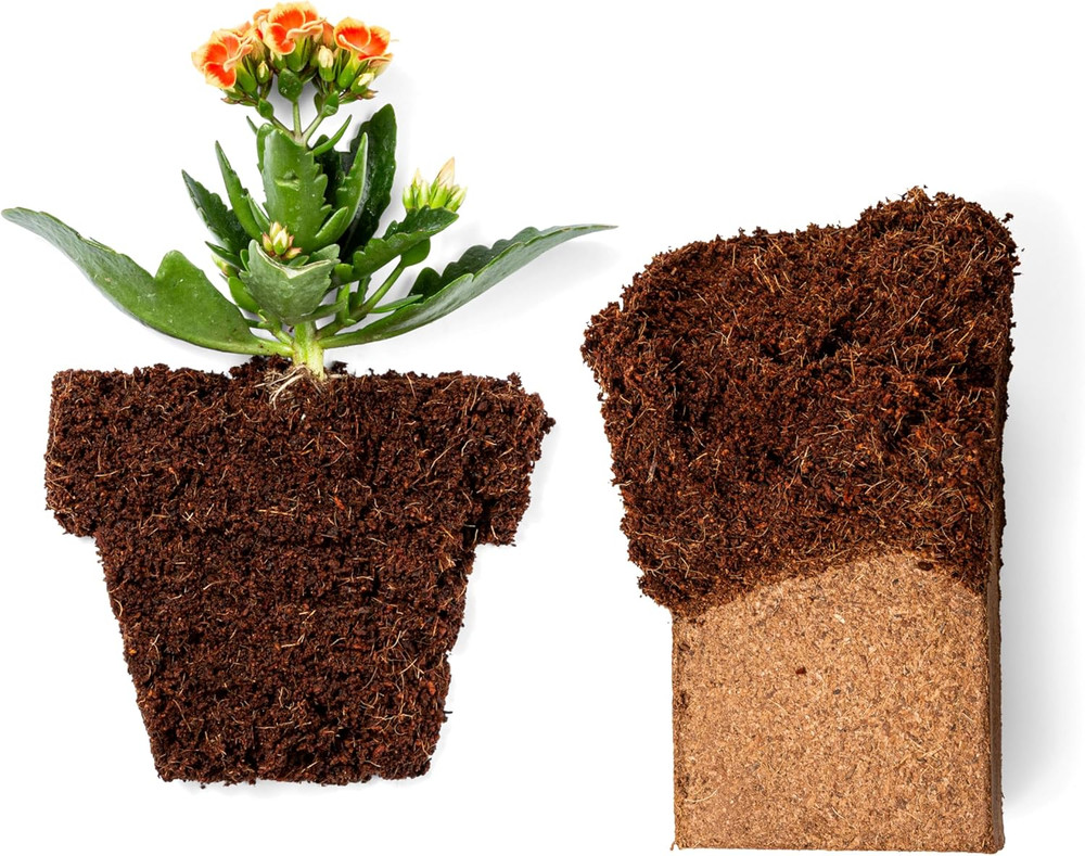 Coco Coir 650Gm Bricks (10-Pack) - Organic Coco Coir for - Omri-Listed Cocopeat