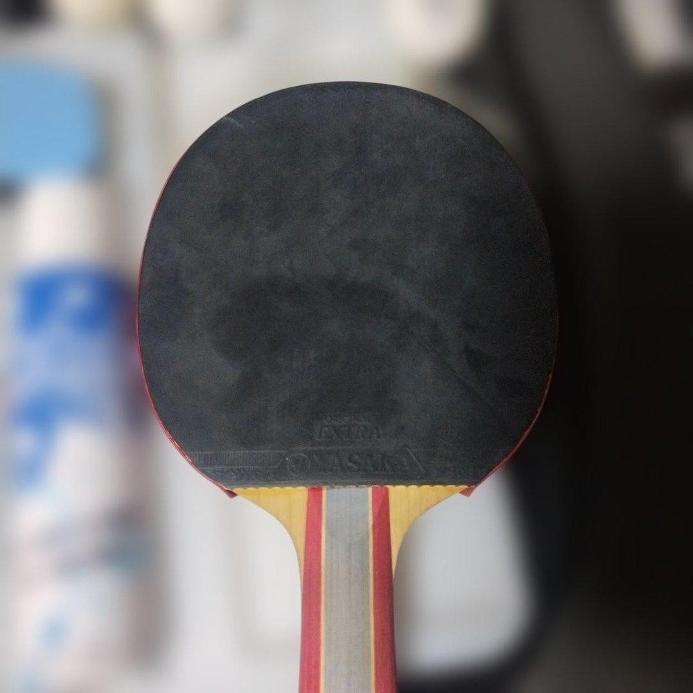 Nittaku Table Racket Set