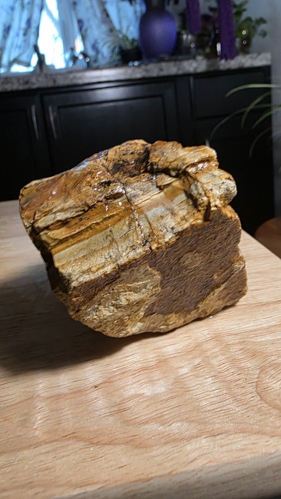 owyhee picture jasper