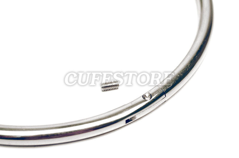 12" Eternity Style Collar Day Collar Lockable Extra Small Neck Collar Neckalce