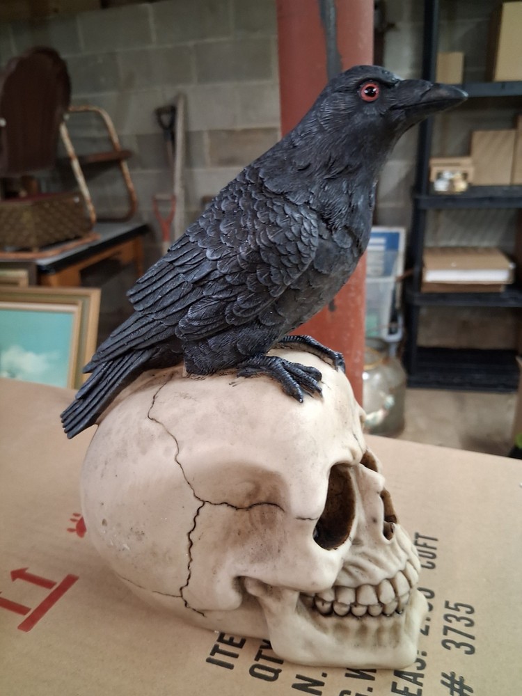 Raven Perched on Skull Gothic Figurine