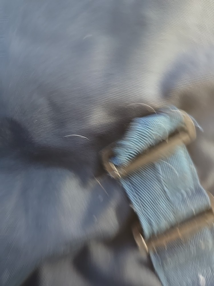 horseware ireland 36