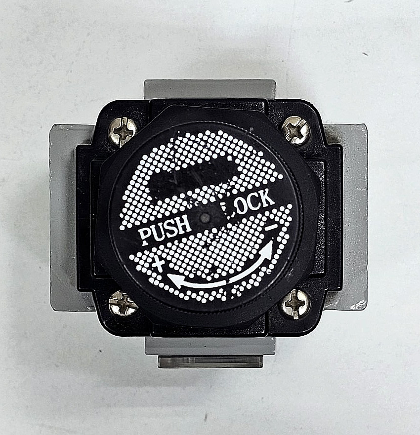 PNEUMICS | SR-25 | Pneumatic Filter Regulator | 150 PSI