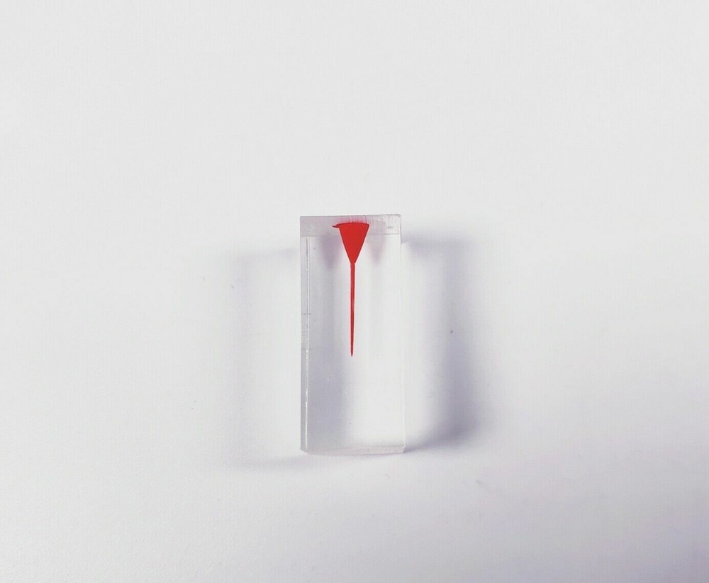 Dental Module Model Pulp Practise Root Canal Dentist Study Endo Training Tubes